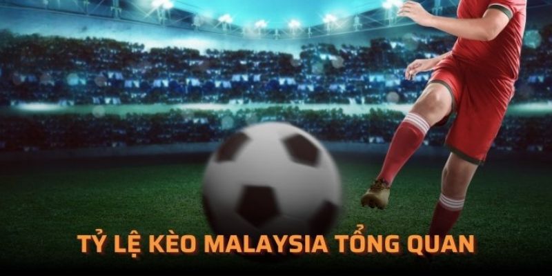 Cách đọc kèo Malaysia chính xác