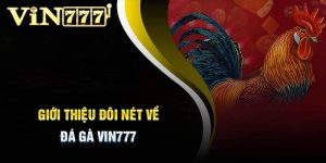 Đá Gà Vin777: Trải nghiệm độc đáo tại nhà cái Vin777