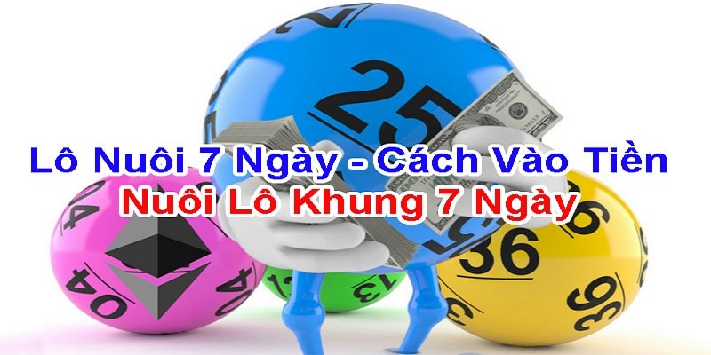 Top 3 kỹ thuật nuôi lô khung 7 ngày cho người mới